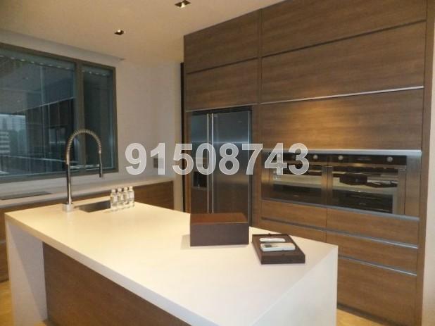 Leedon Residence (D10), Condominium #81844992